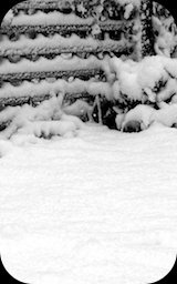 Image: arts & ego for fotos