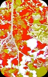 Image: arts & ego for fotos