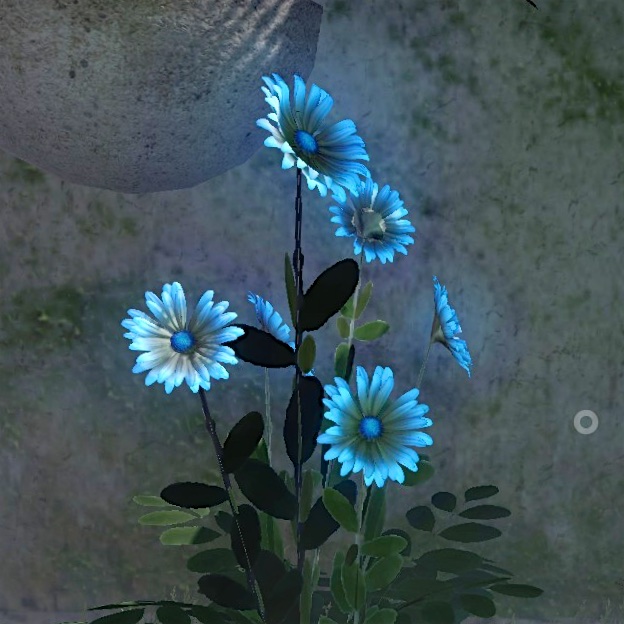 Image: a screenshot of a quern flower