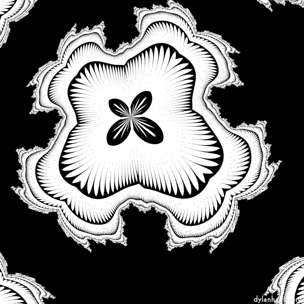 image: bw attractor :: mushroom