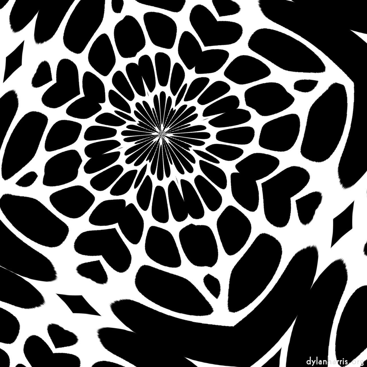 image: bw attractor :: web of deceit