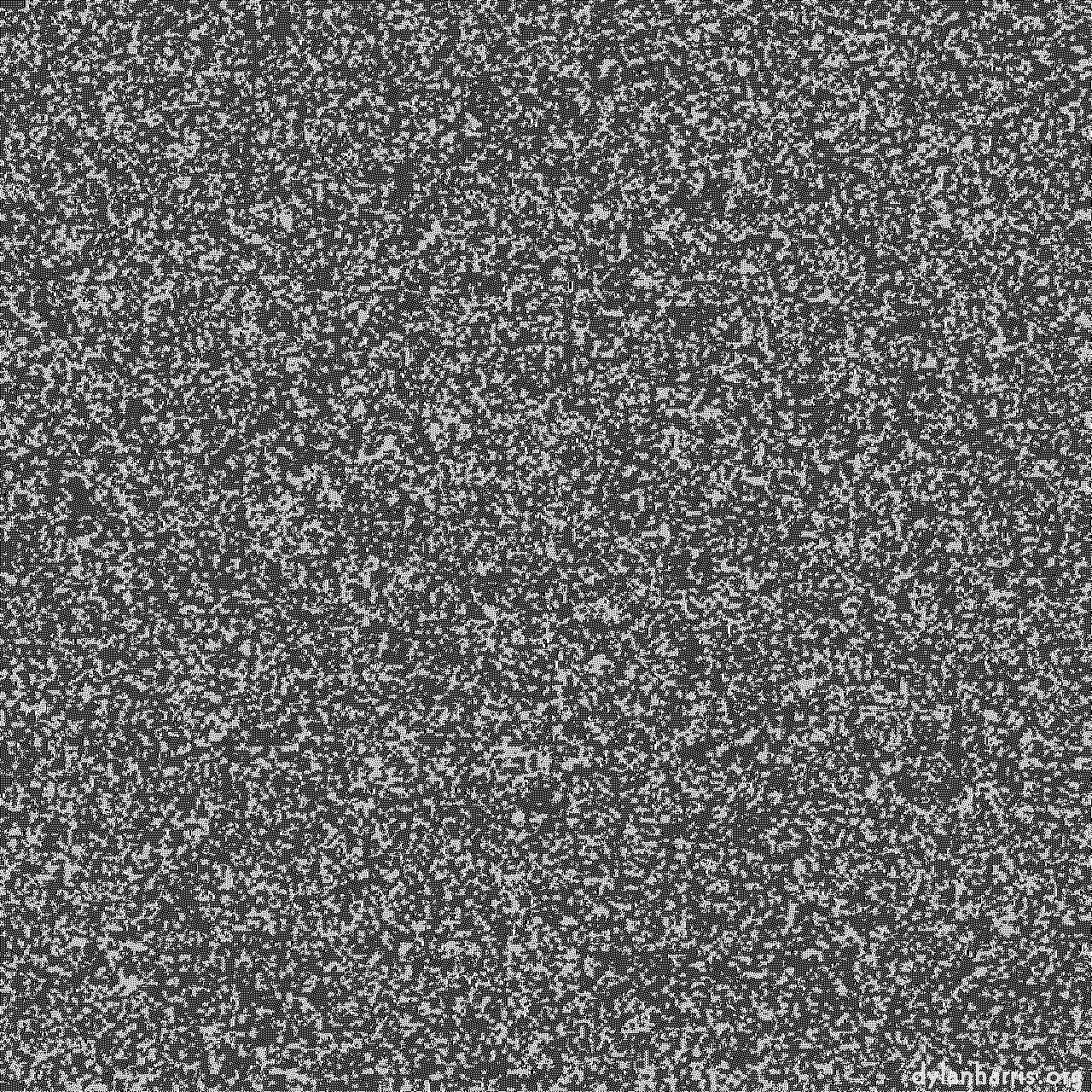 image: ca noise :: ca noise 1