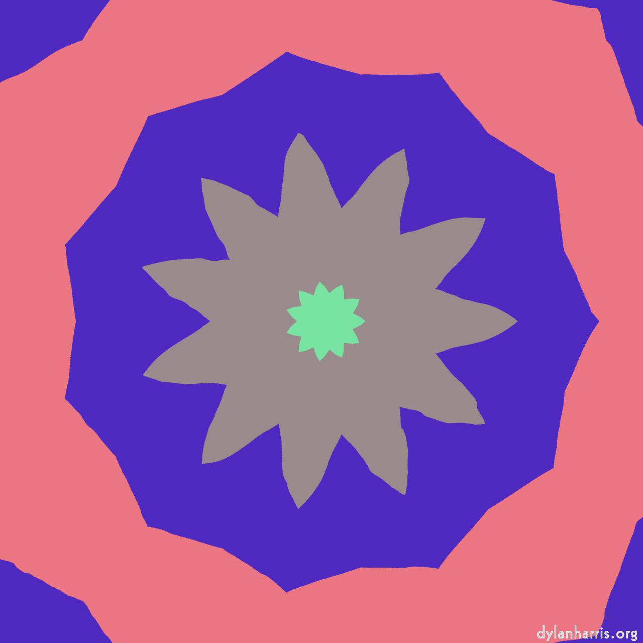 image: cirsym :: z11