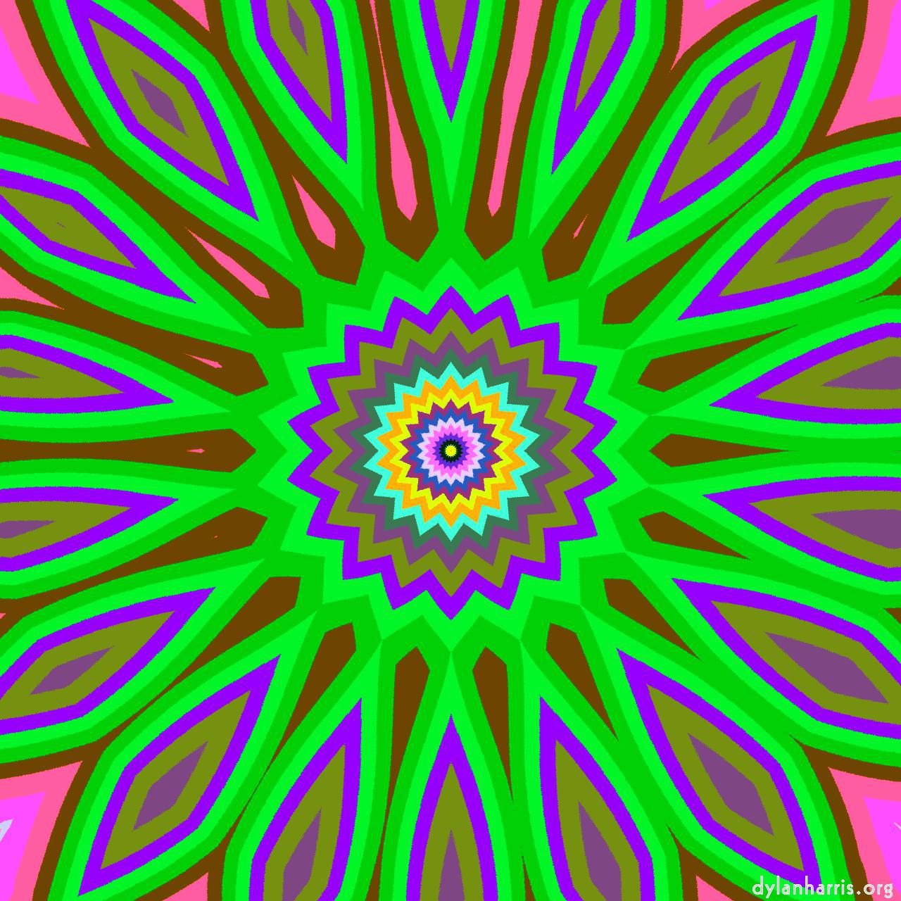 image: cirsym :: z17