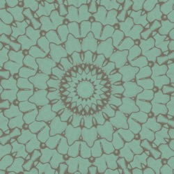 image: image from cirsym