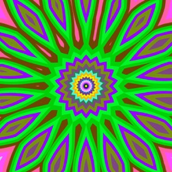 image: image from cirsym