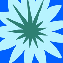 image: image from cirsym