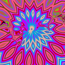 image: image from cirsym