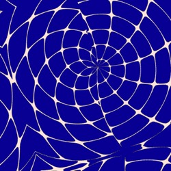 image: image from complex attractors