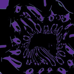 image: image from inv sym