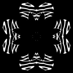 image: image from kaleido