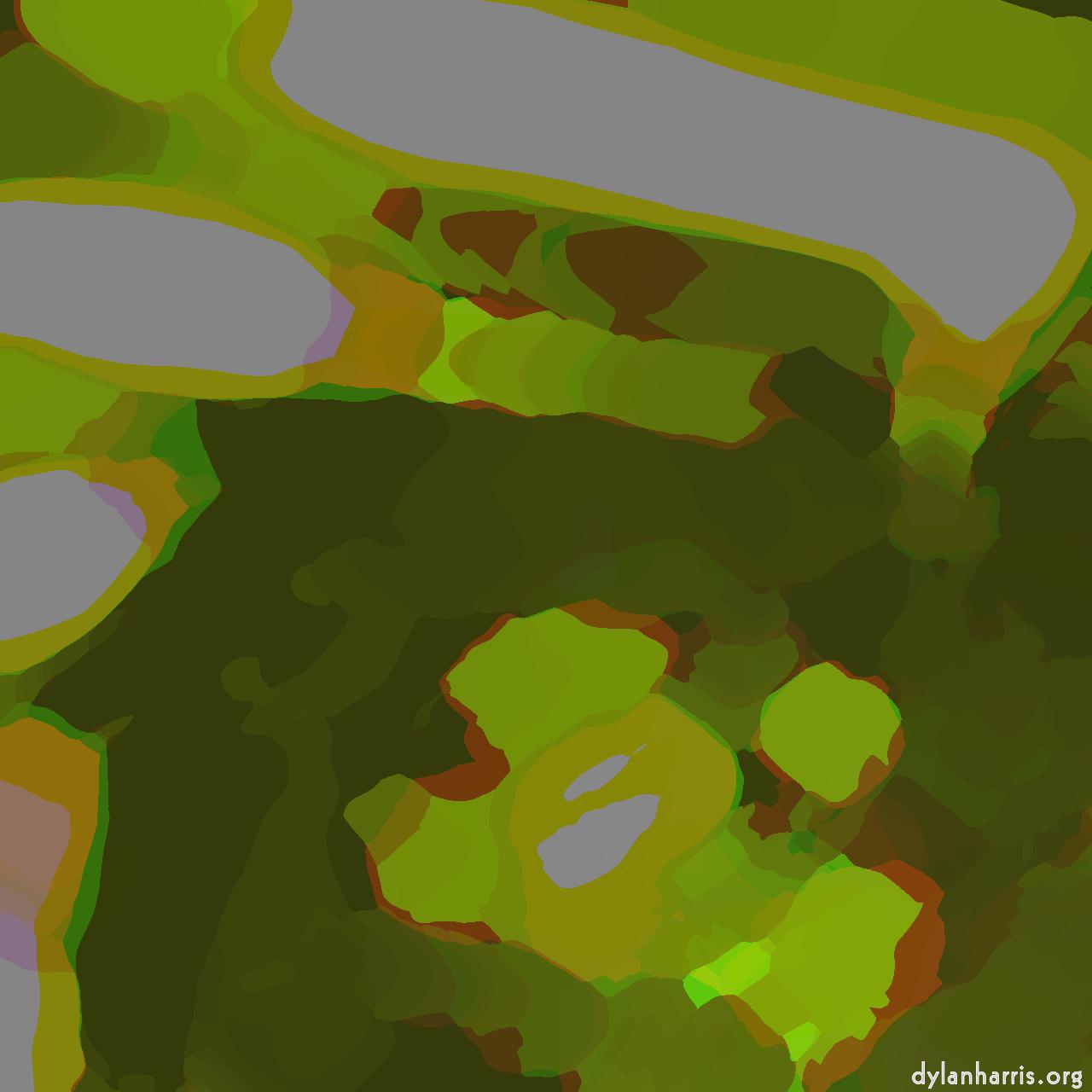 image: march 06 :: camouflage