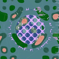 Image: image from mod