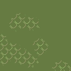 image: image from msg 5