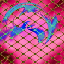 image: image from msg 5