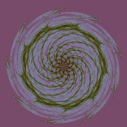 image: image from msg 5