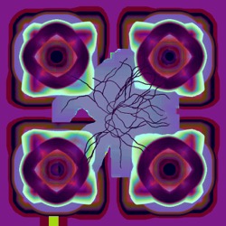 image: image from msg 8