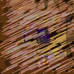 image: image from new 12