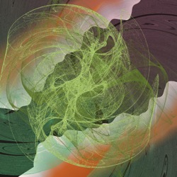 image: image from new 16