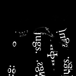 image: image from new 3.5.1 - new 3