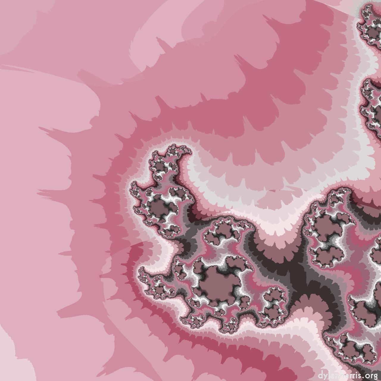 image: new attractor :: z3