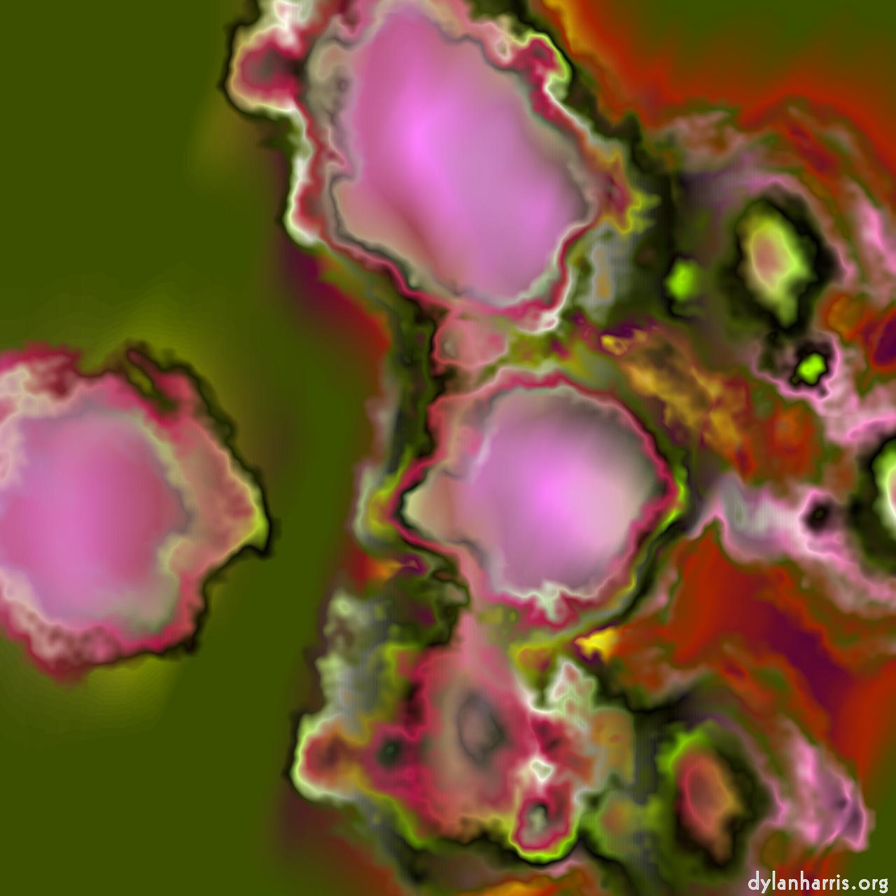 image: new e :: bloom 1