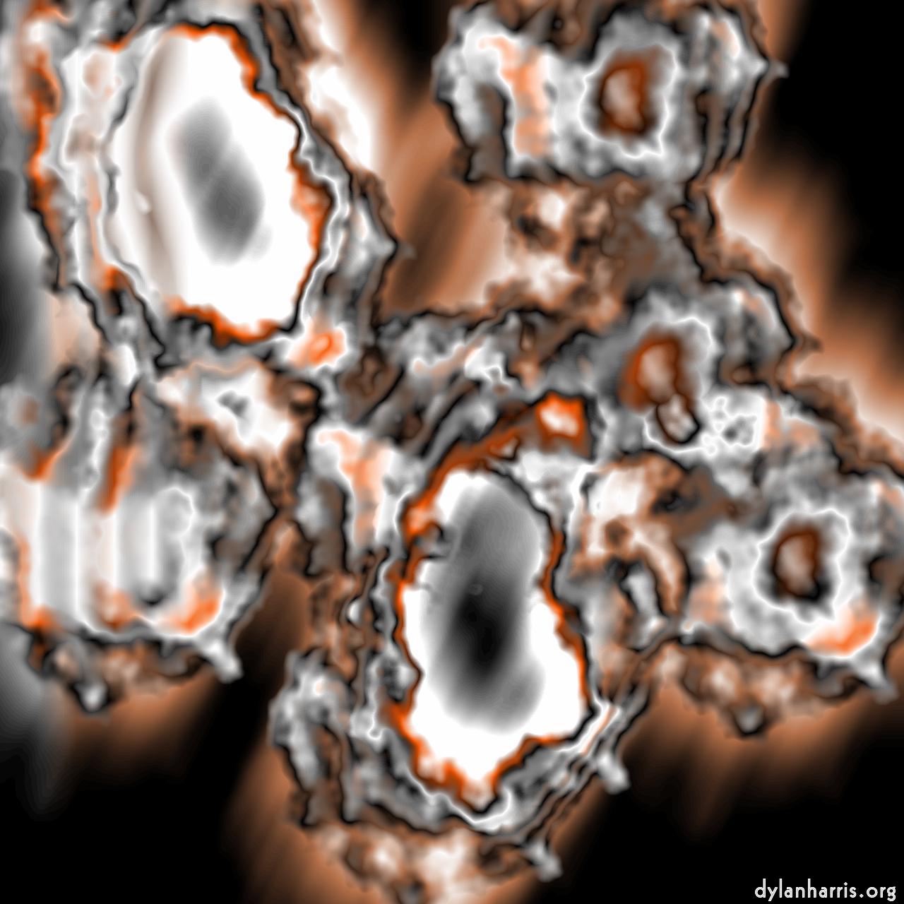 image: new e :: bloom 3