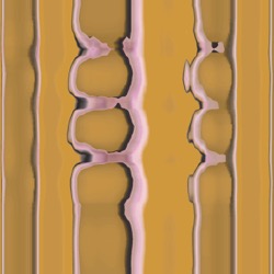 image: image from new e