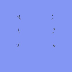 image: image from new f