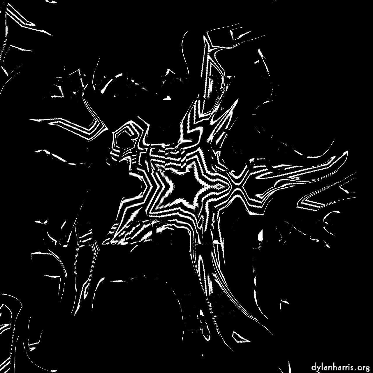 image: organic sym :: cool 8