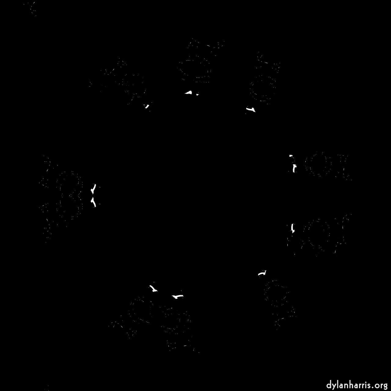 image: organic sym :: dual sym