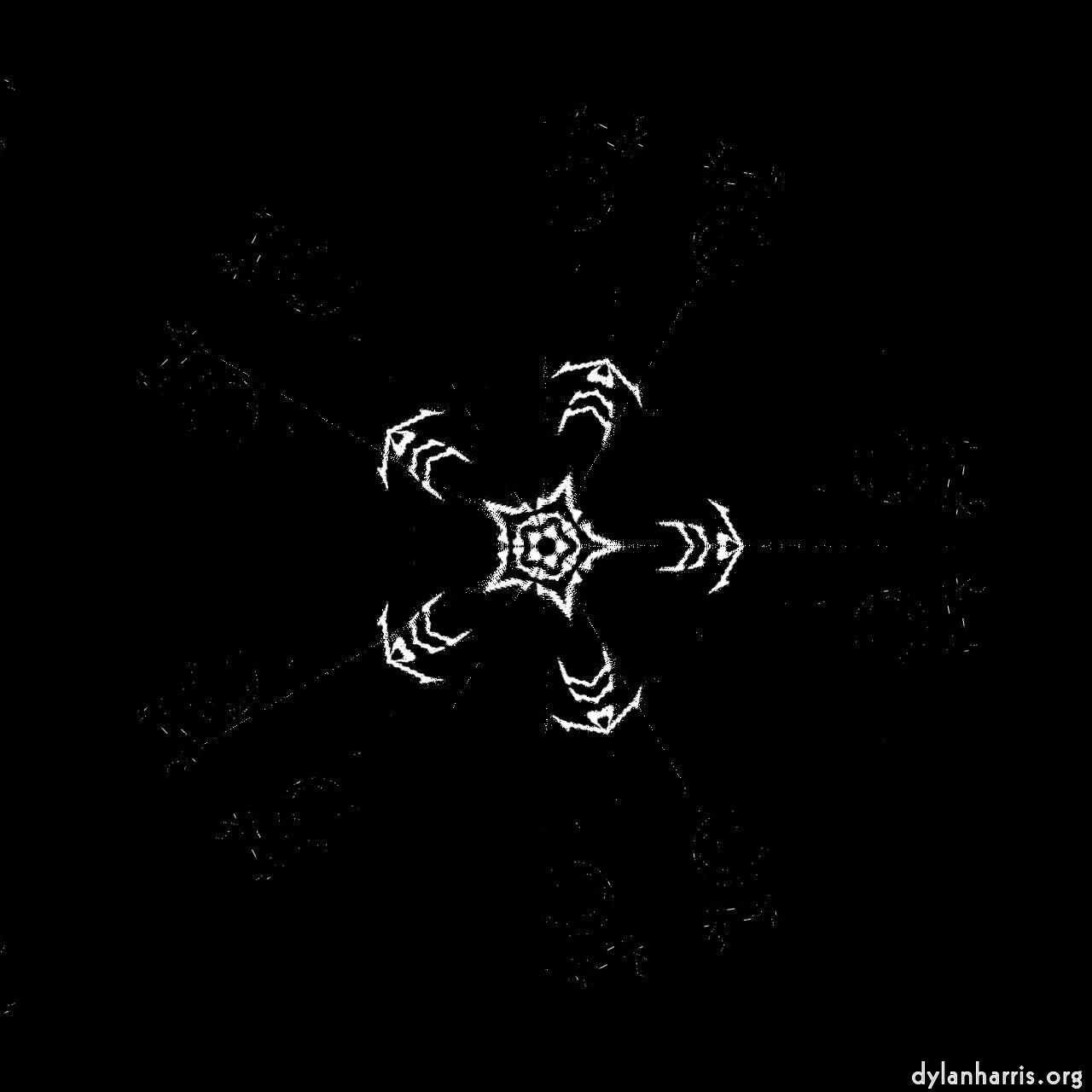 image: organic sym :: stamped 4