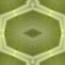 image: image from pattern 1