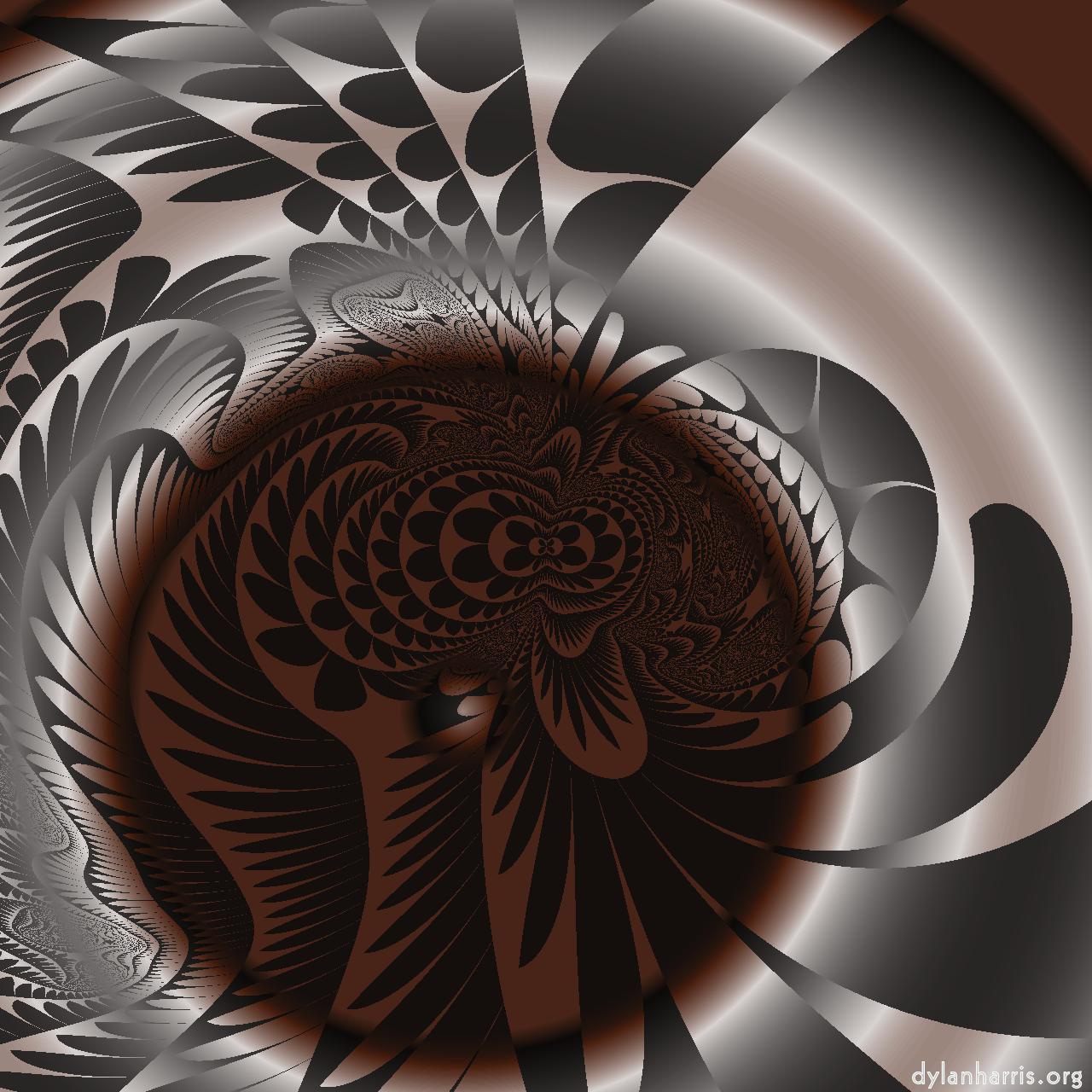 image: patterns :: dual