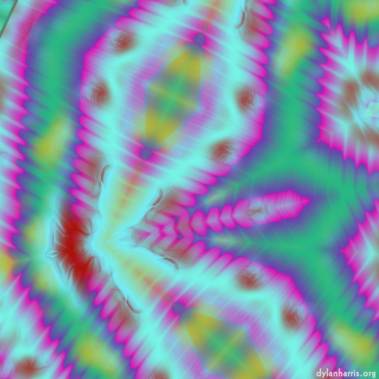 image: patterns :: flower