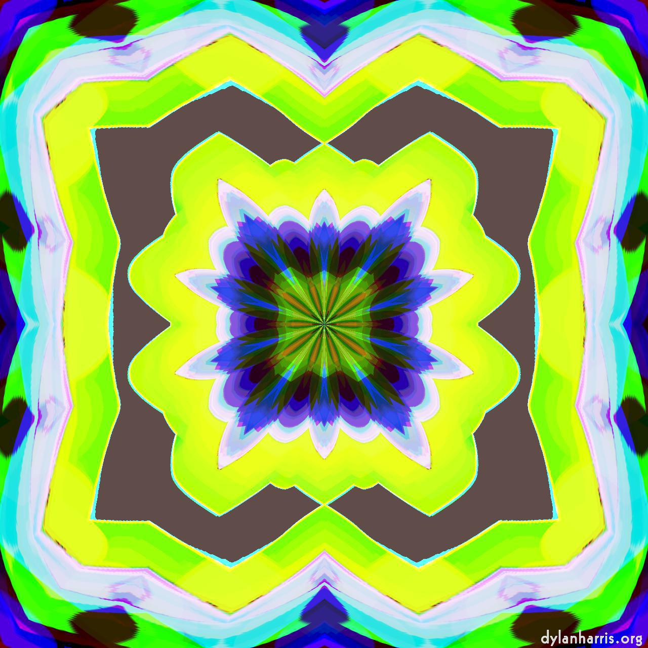 image: self-animating 1 :: more complex 3