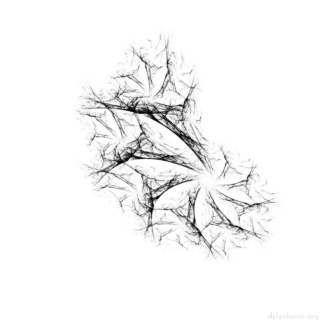 image: storage presets :: ifs bw attractor