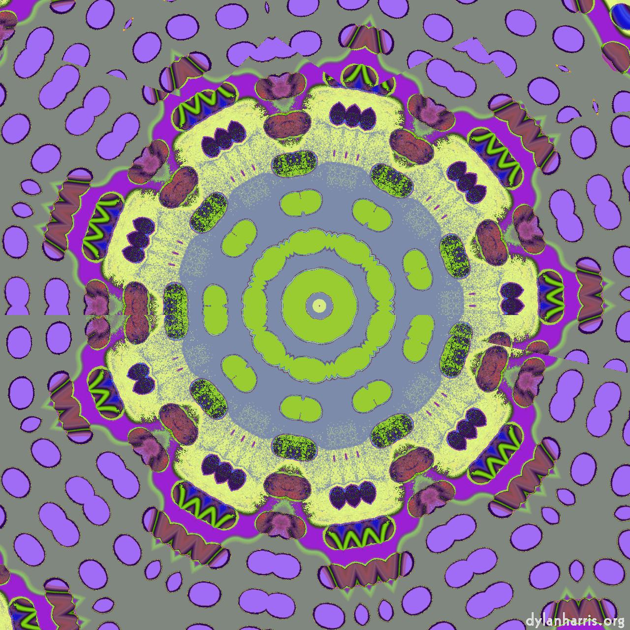 image: storage presets :: patterning 2