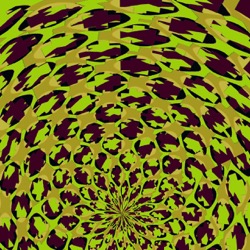 Image: image from sym patterns