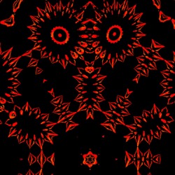 image: image from tri sym