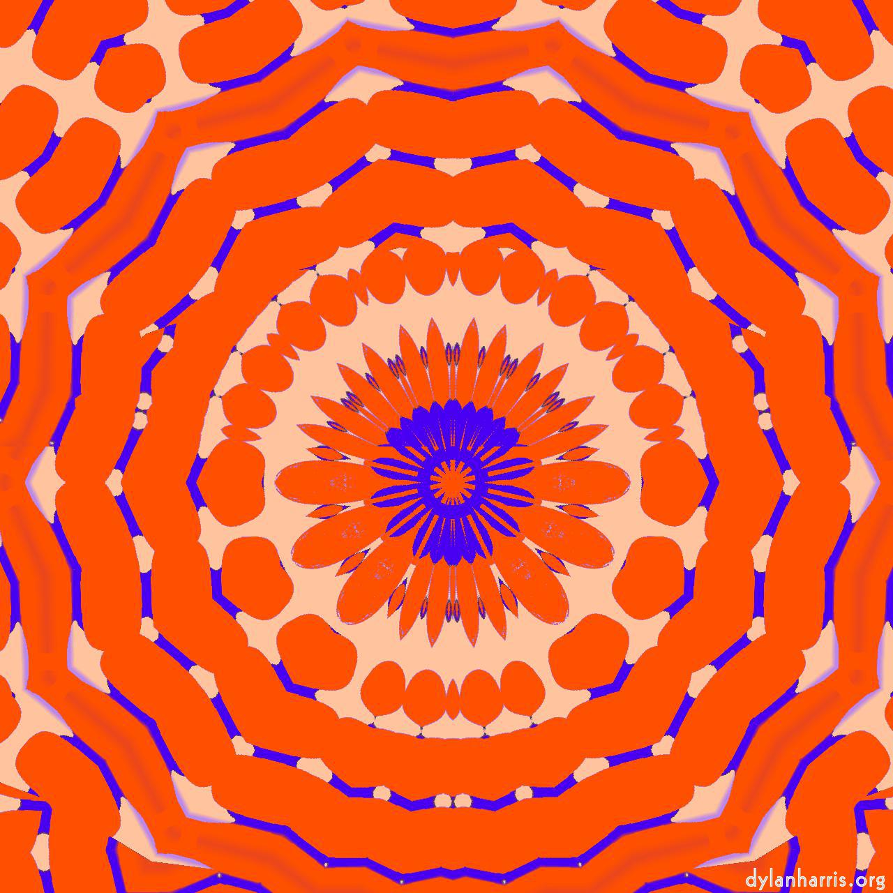 image: variations :: orange bloom