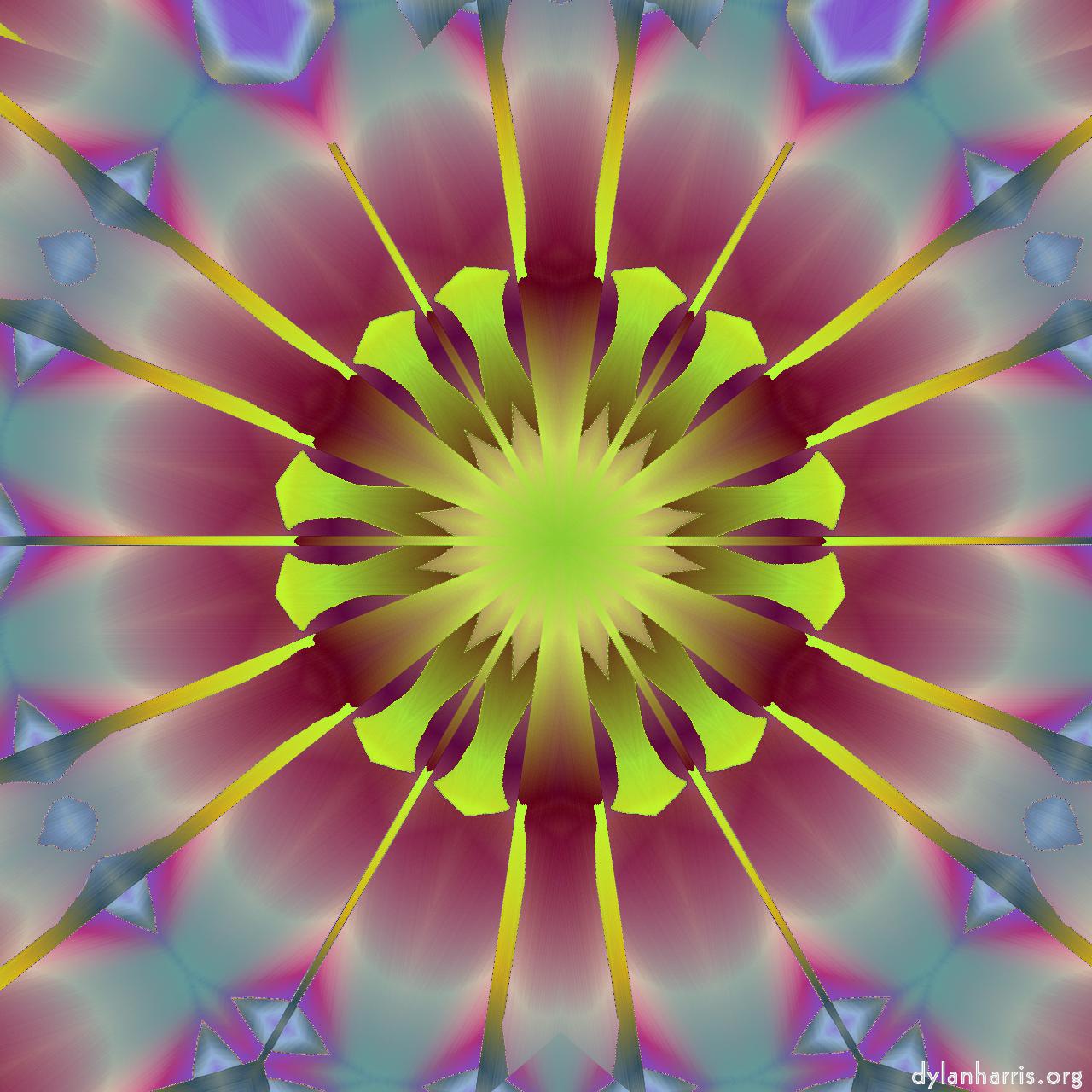 image: variations :: star of heaven