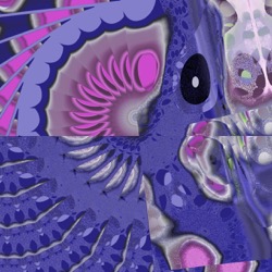 image: image from z1