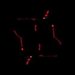 image: image from z test 1