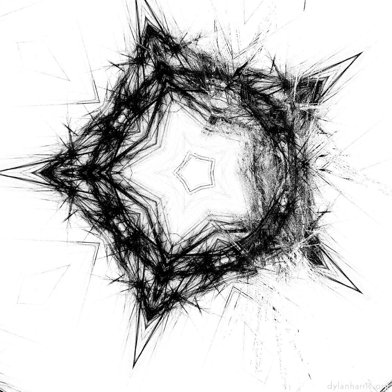 image: zygotes :: ifs test