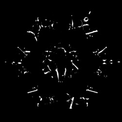 image: image from zygotes