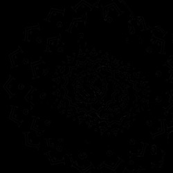 image: image from zygotes