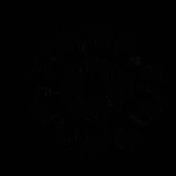 image: image from zygotes