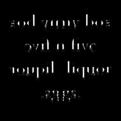 image: image from symmetry (put image in canvas repeat action)