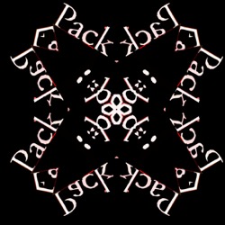 image from mirror and warps efx